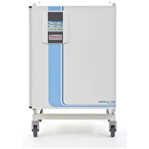 Heracell 150i Single Chamb, 5.3 cu. ft., THERMO FISHER SCIENTIFIC ASHEVILLE, Mfr# 51026282