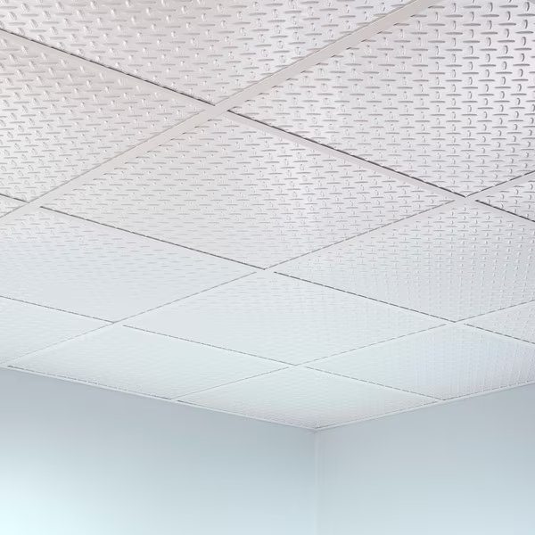 Flat Panel 2Ftx2Ft Lay In Ceiling T, PK 5, 5 PK, Fasade, Mfr#: PL6901