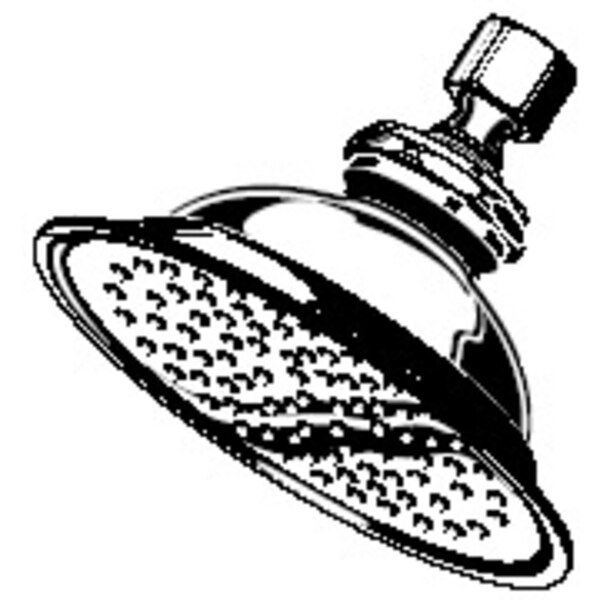 Shower Head 4.38x10.19x5.75 Chrome, AMERICAN STANDARD, Mfr# M953570-0020A