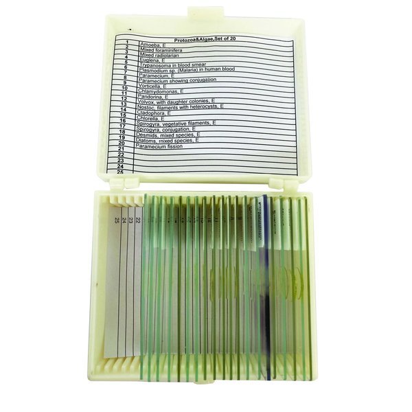 Protozoa and Algae Slide Set Set of 20, UNITED SCIENTIFIC, Mfr# UNSLPRAL15