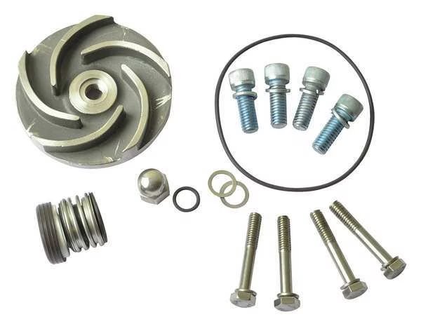 Pump Repair Kit, For 2ZWT8, DAYTON, Mfr# 21TG62
