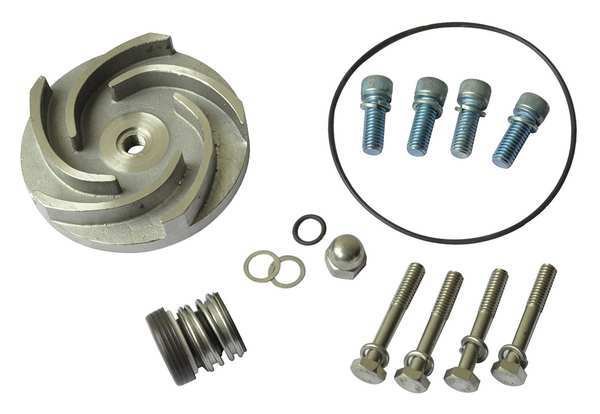 Pump Repair Kit, For 2ZWU6, 2ZWU7, DAYTON, Mfr# 21TG69