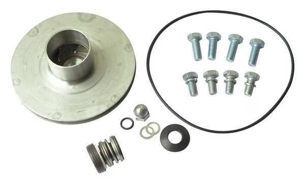 Pump Repair Kit, For 2ZXK6, 2ZXK7, Dayton, Mfr#: 21TH29