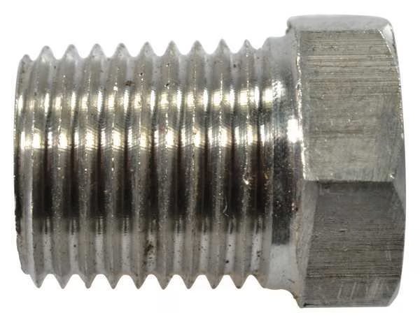 Pipe Plug SS316, 1/4 Npt SS, Dayton, Mfr#: PP60154G