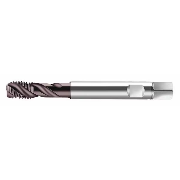 Spiral Flute Tap Plug, 3 Flutes, Walter, Mfr#: S2056302-M12