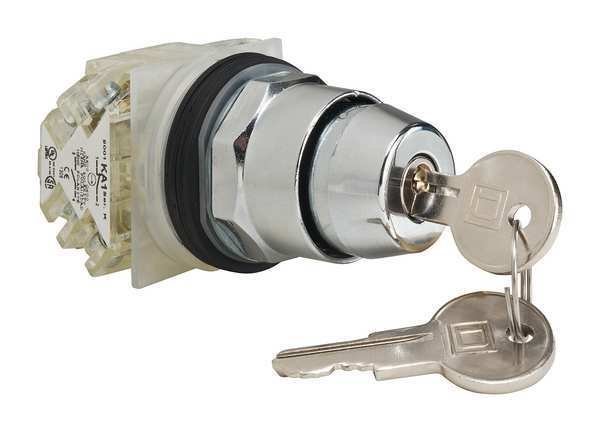 Non-Illum Selectr Switch, 2P, Chrome, Cam E, SCHNEIDER ELECTRIC, Mfr# 9001KS11K3H2