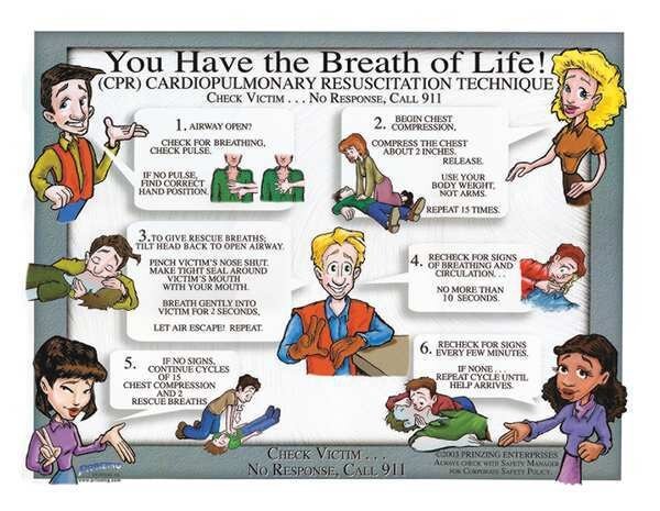 Safety Poster, 18 x 24In, Laminated PPR, Brady, Mfr#: PS147E