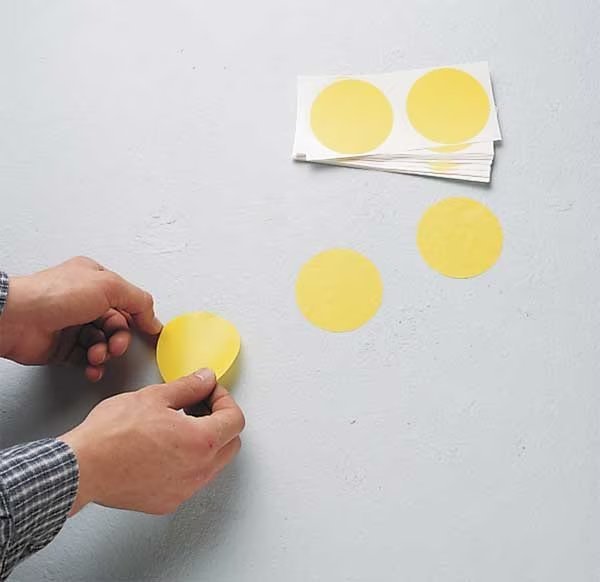 Aisle Marking Tape, Dot, 5In D, PK500, BRADY, Mfr# 121036