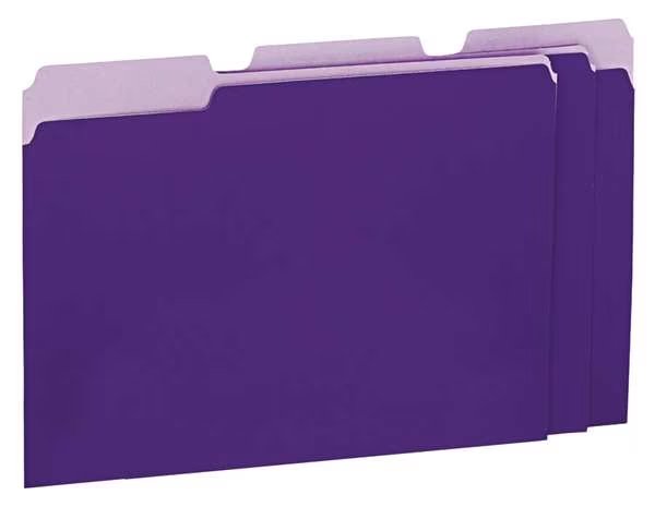 File Folder 9-3/8